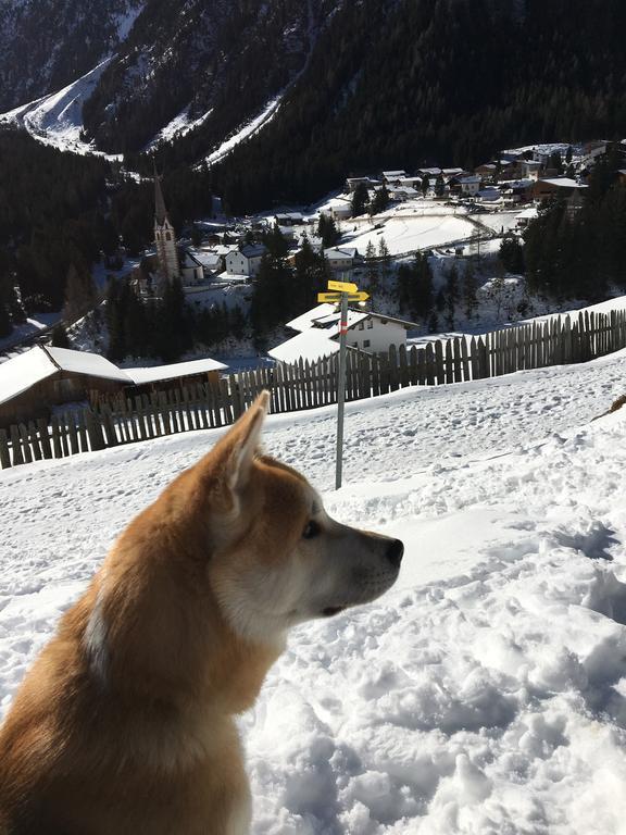 Pension Alpenrose Sankt Sigmund im Sellrain Exteriér fotografie