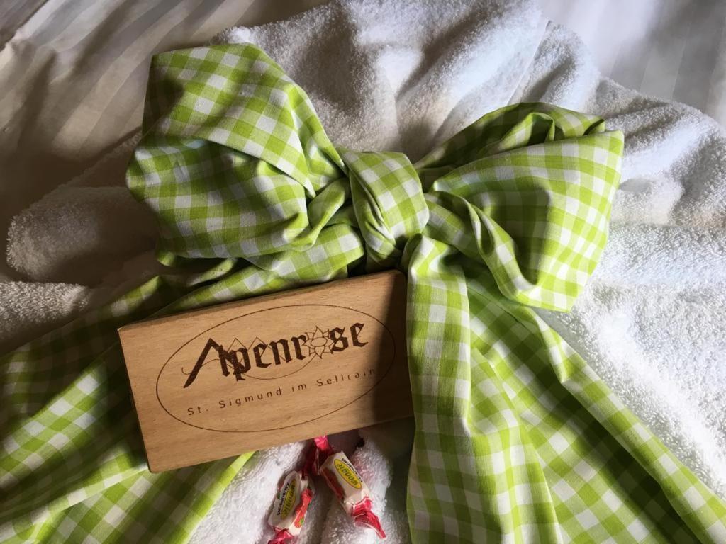Pension Alpenrose Sankt Sigmund im Sellrain Exteriér fotografie