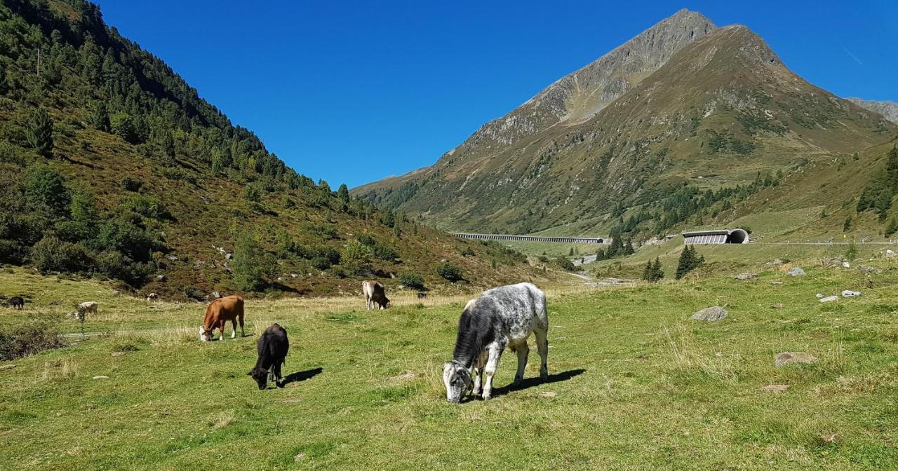 Pension Alpenrose Sankt Sigmund im Sellrain Exteriér fotografie