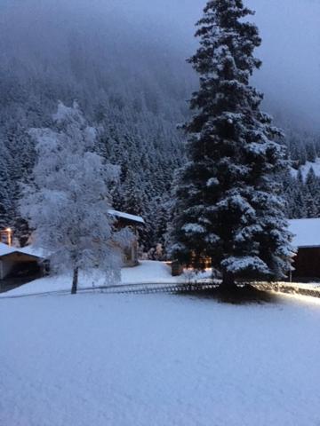 Pension Alpenrose Sankt Sigmund im Sellrain Exteriér fotografie